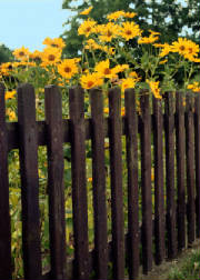 image001_2a.jpg